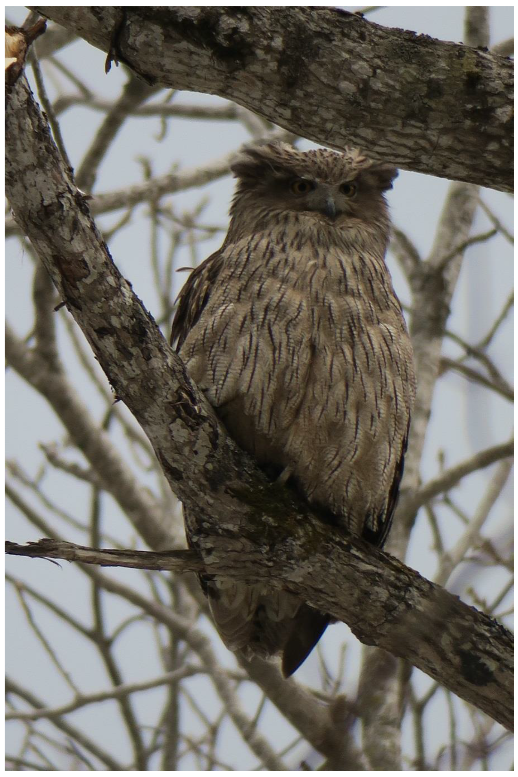 Heritage 02 00060 g003