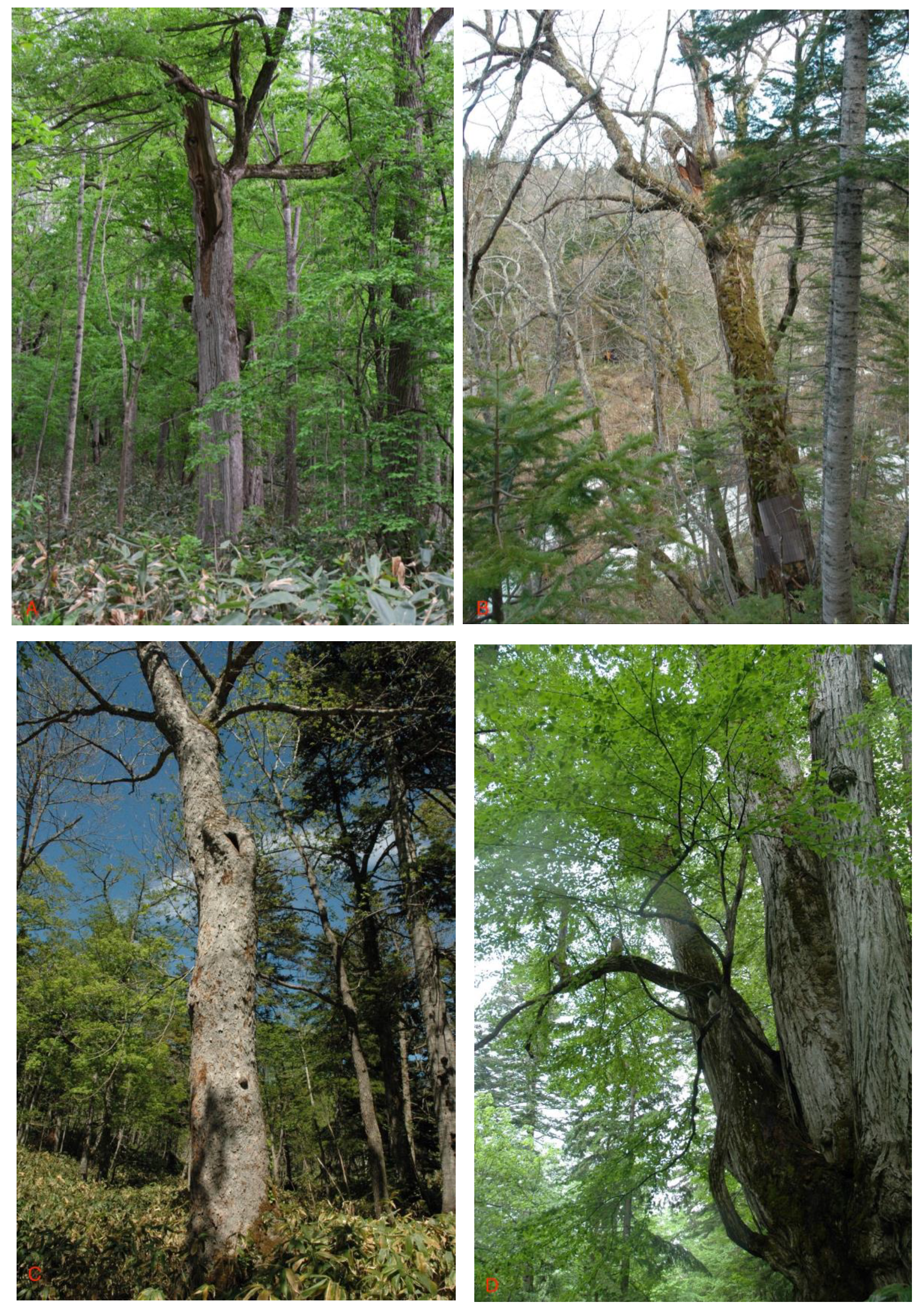 Heritage 02 00060 g006