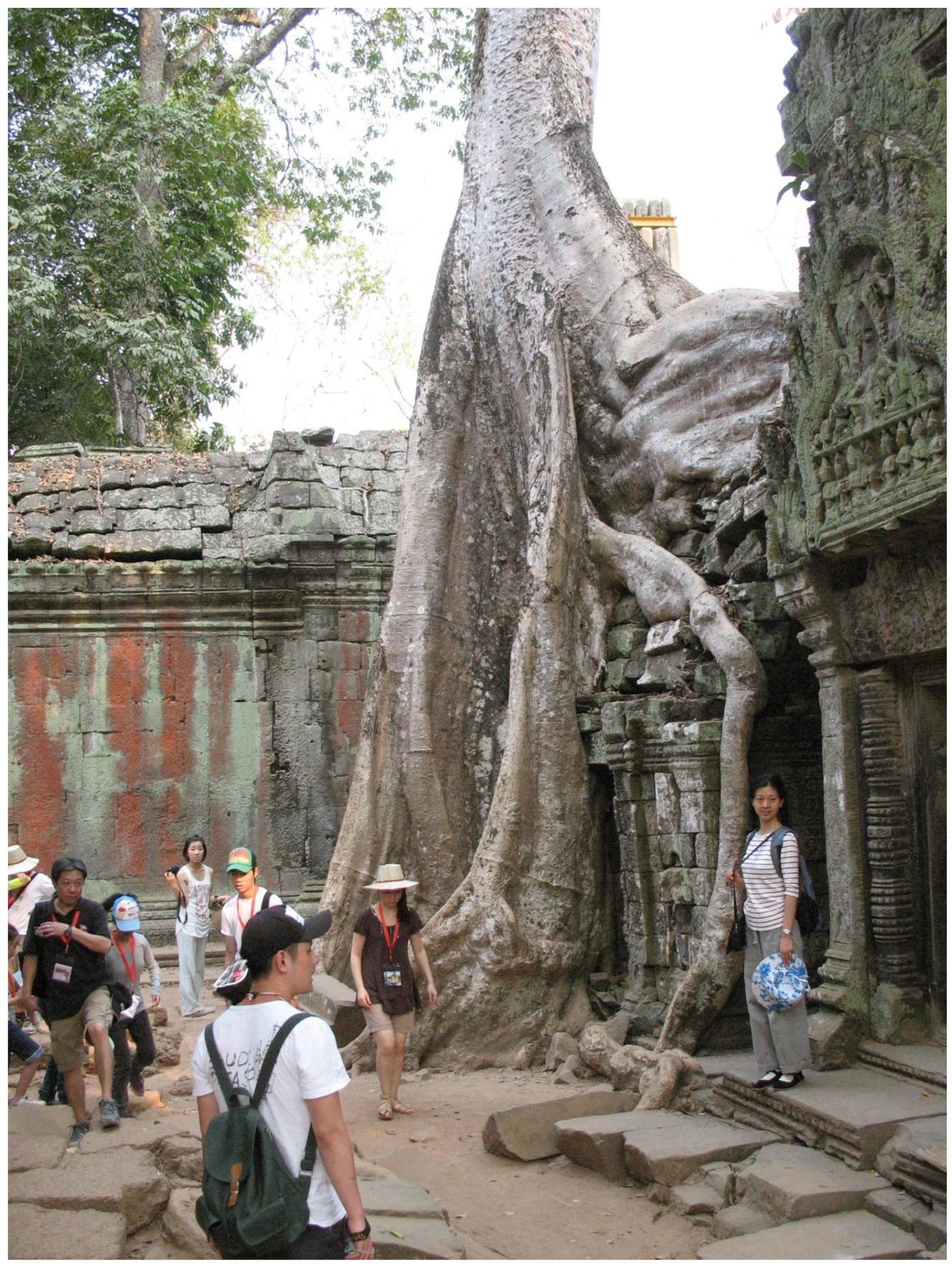 Heritage Free Full Text New And Emerging Challenges To Heritage And Well Being A Critical Review Html