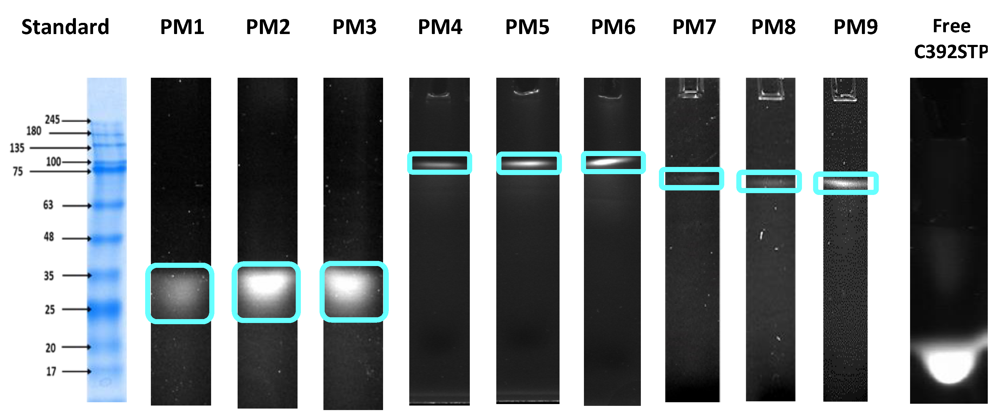 Heritage 02 00150 g005 Heritage 02 00150 g005