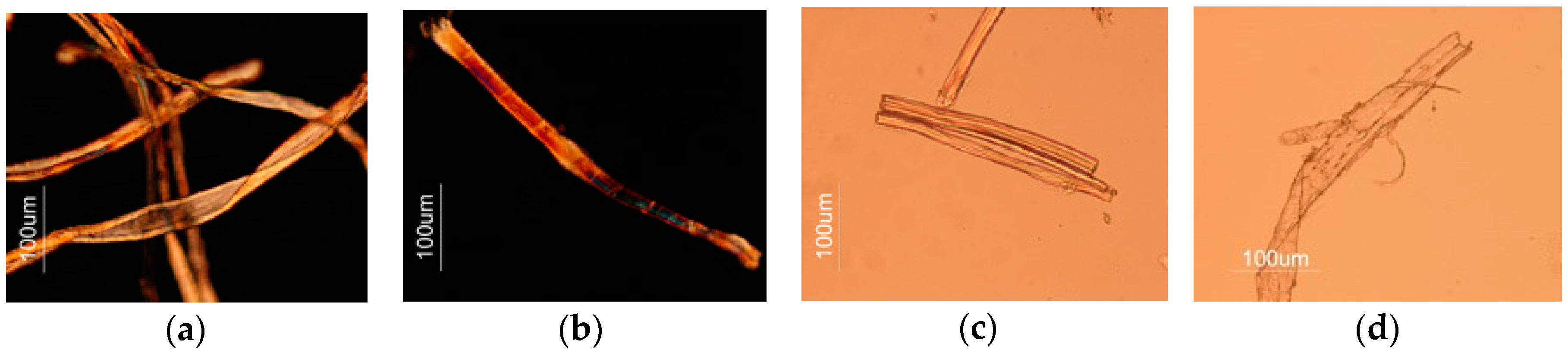 Heritage 02 00153 g007 550