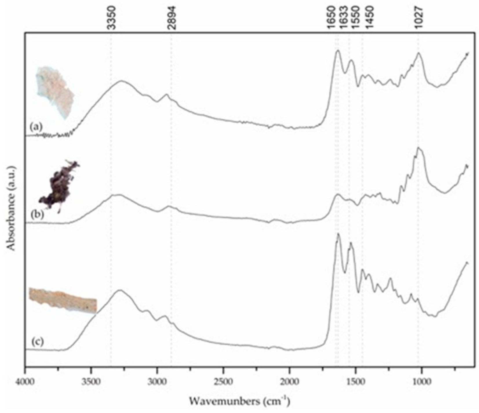 Heritage 02 00153 g008 550