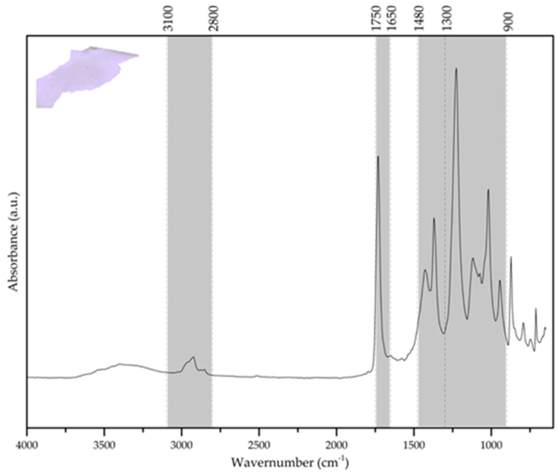 Heritage 02 00153 g009 550