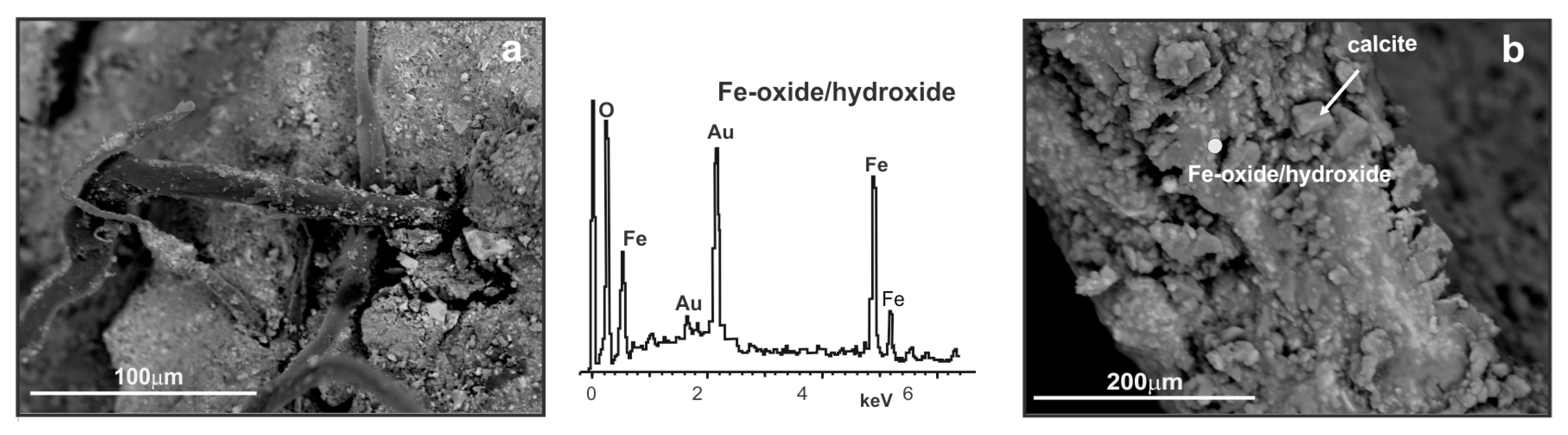Heritage 02 00160 g006