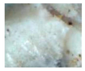 Heritage 02 00160 i003