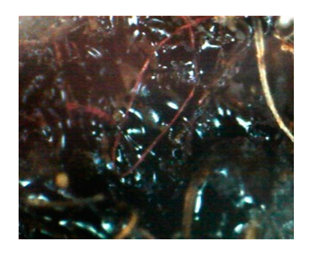 Heritage 02 00160 i005