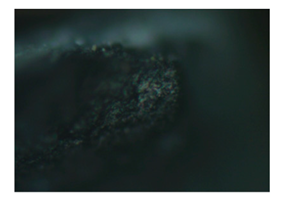 Heritage 02 00160 i008