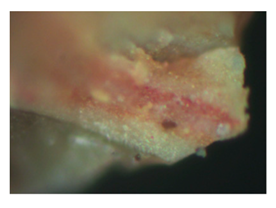 Heritage 02 00160 i010