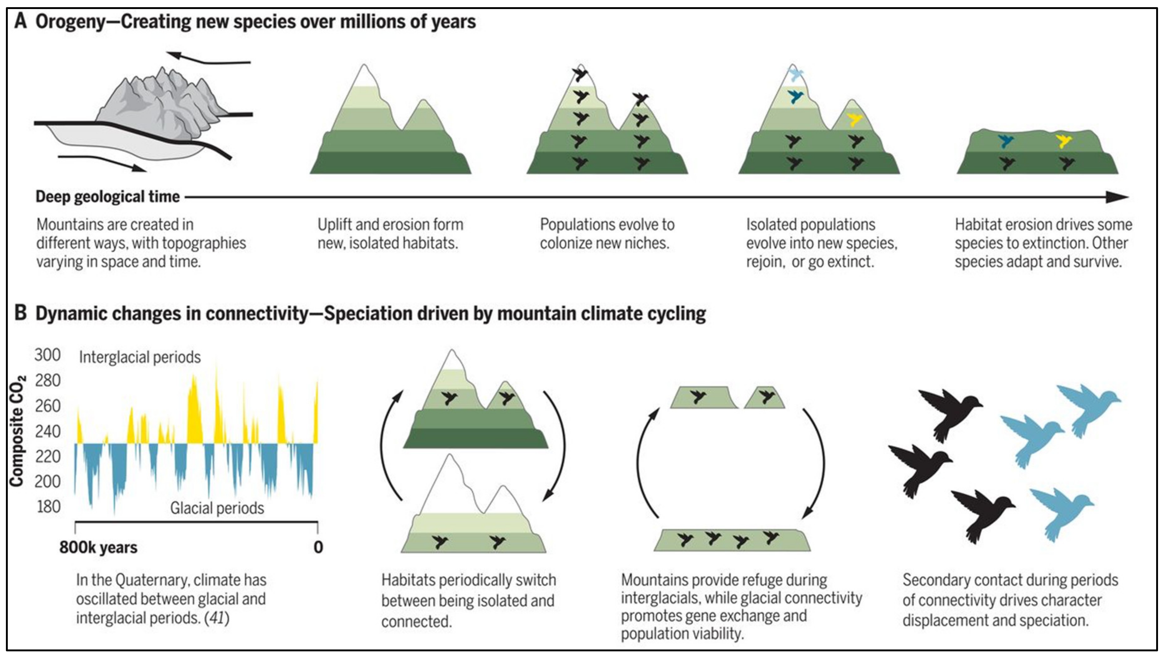 Heritage 03 00012 g001 Heritage 03 00012 g001