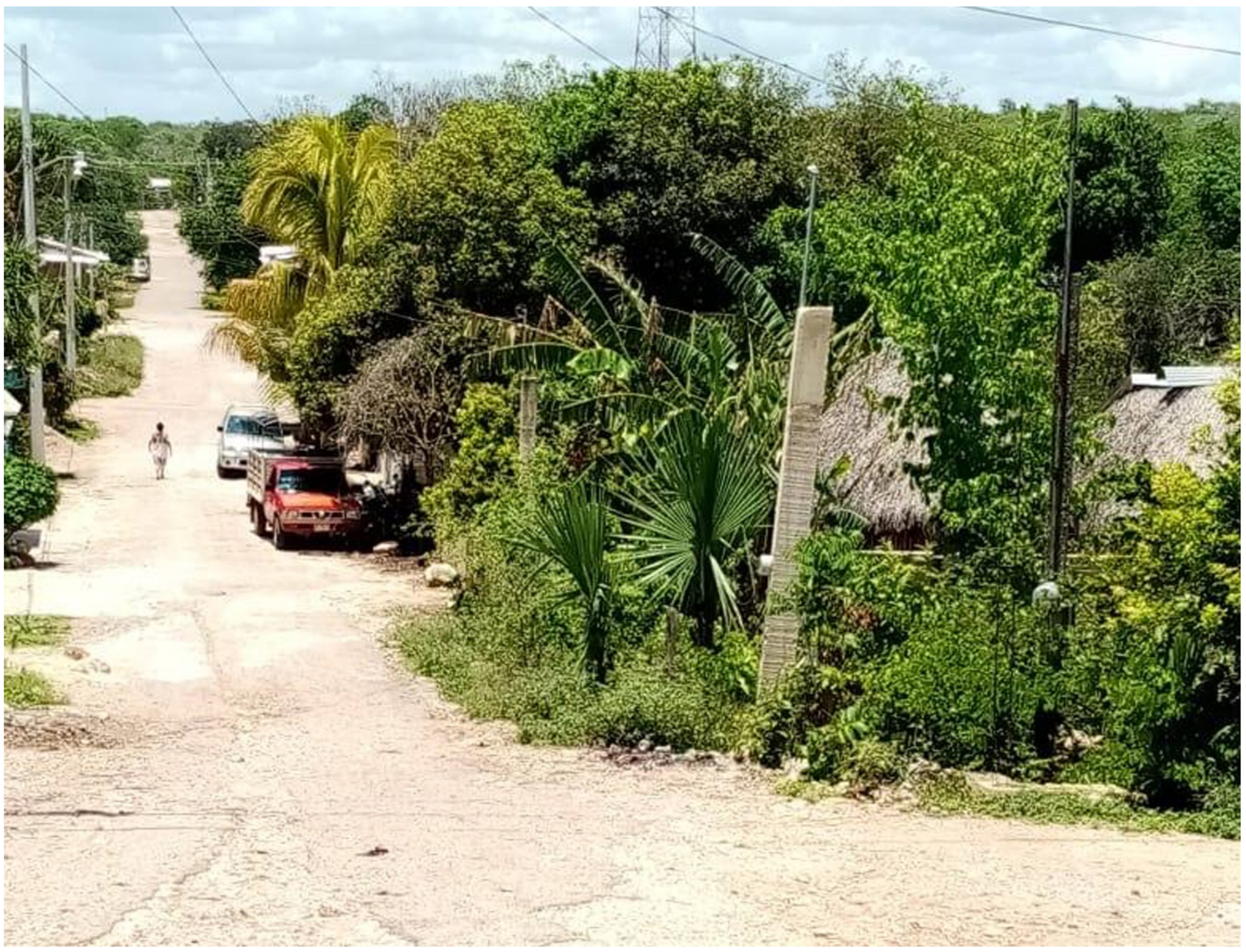 Heritage 03 00021 g002