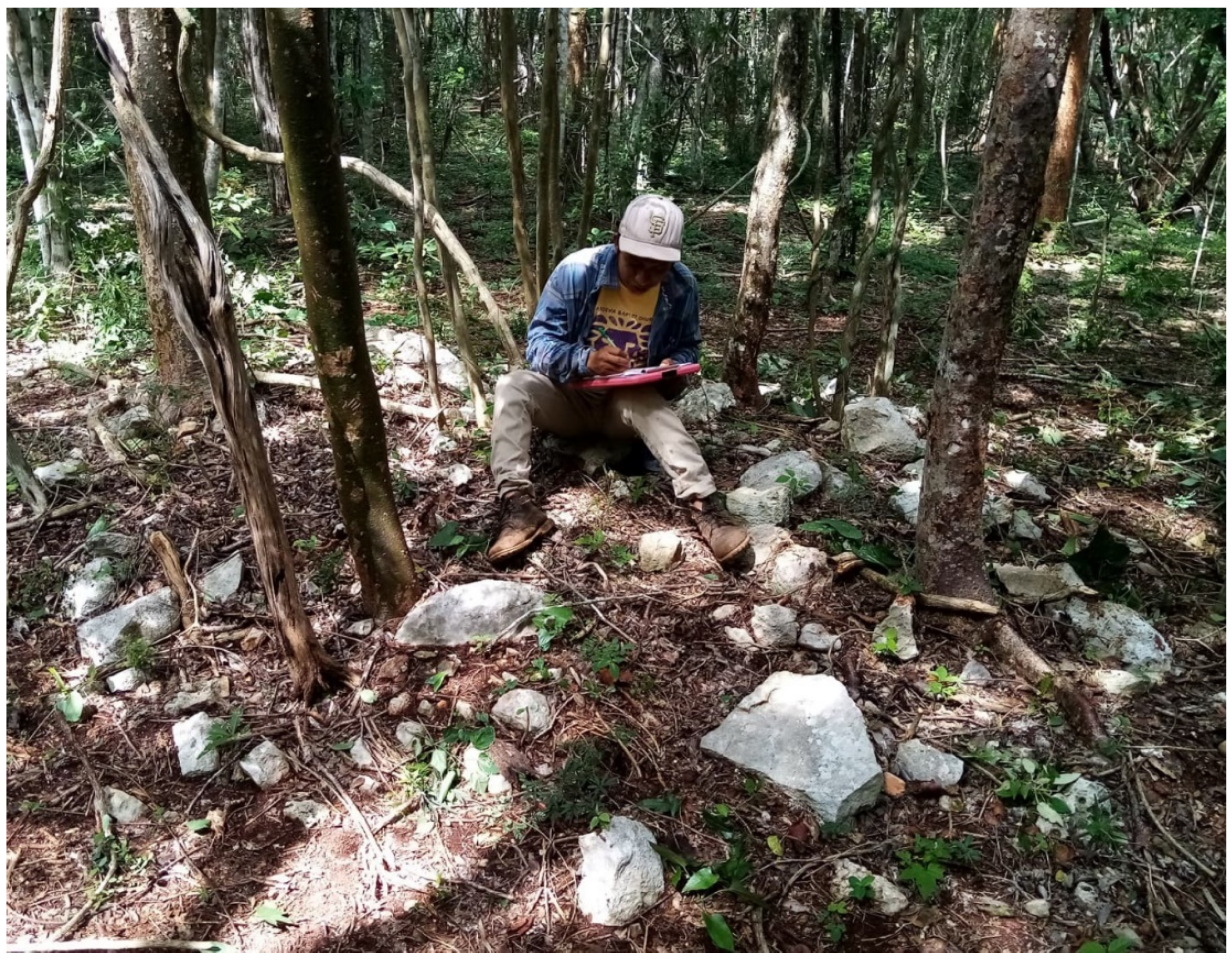 Heritage 03 00021 g006