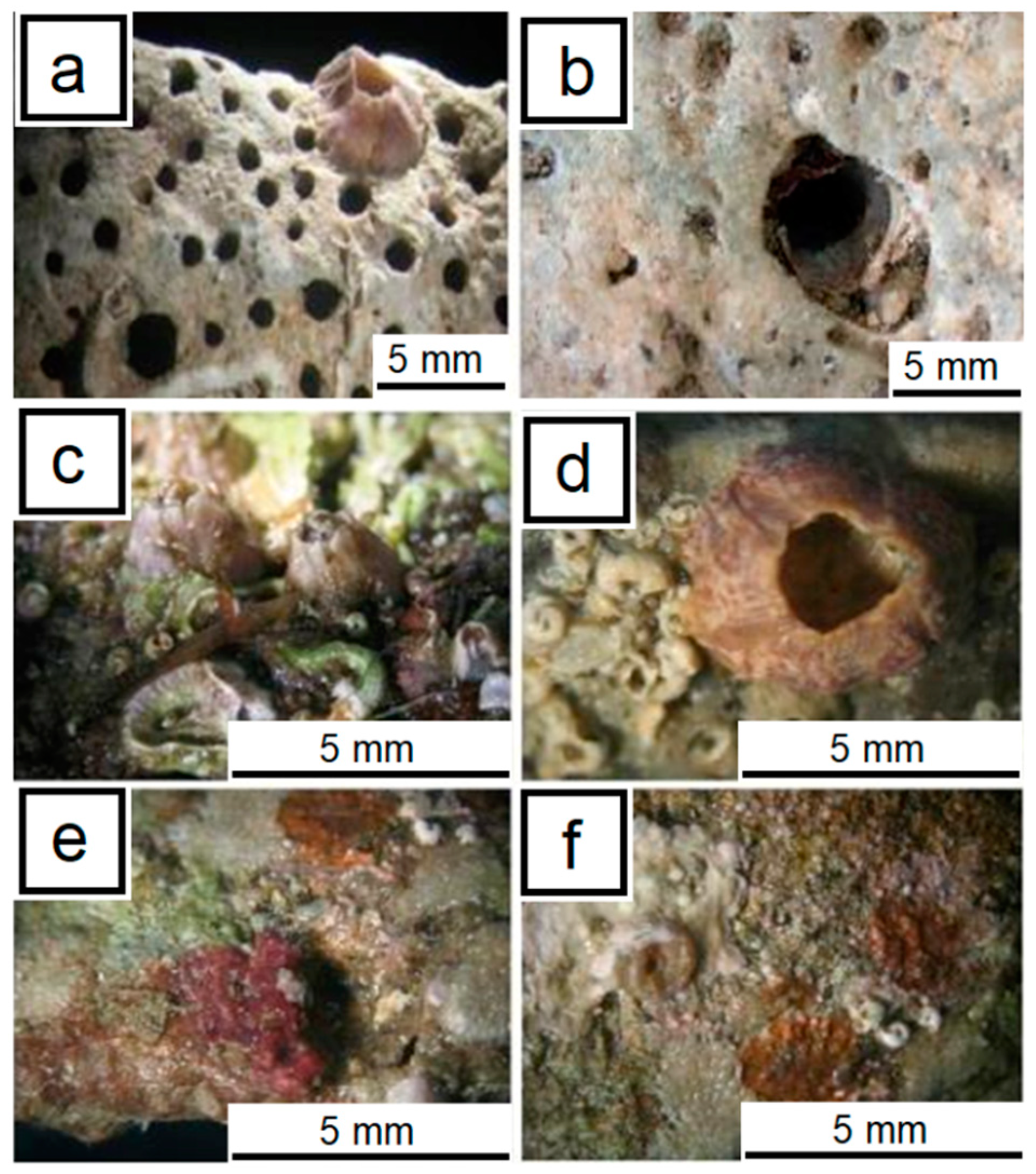 Heritage 03 00024 g001 Heritage 03 00024 g001