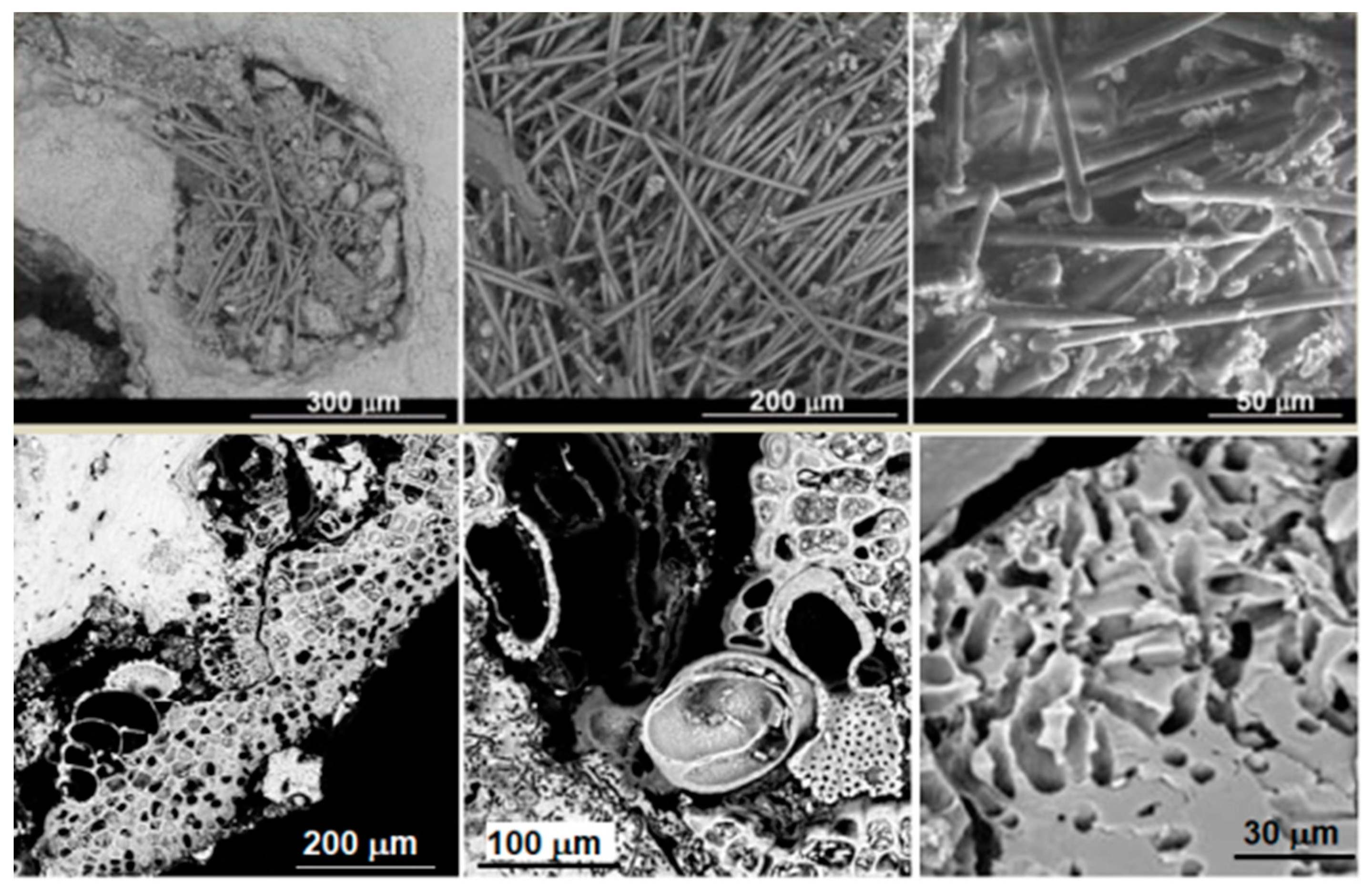 Heritage 03 00024 g002 Heritage 03 00024 g002