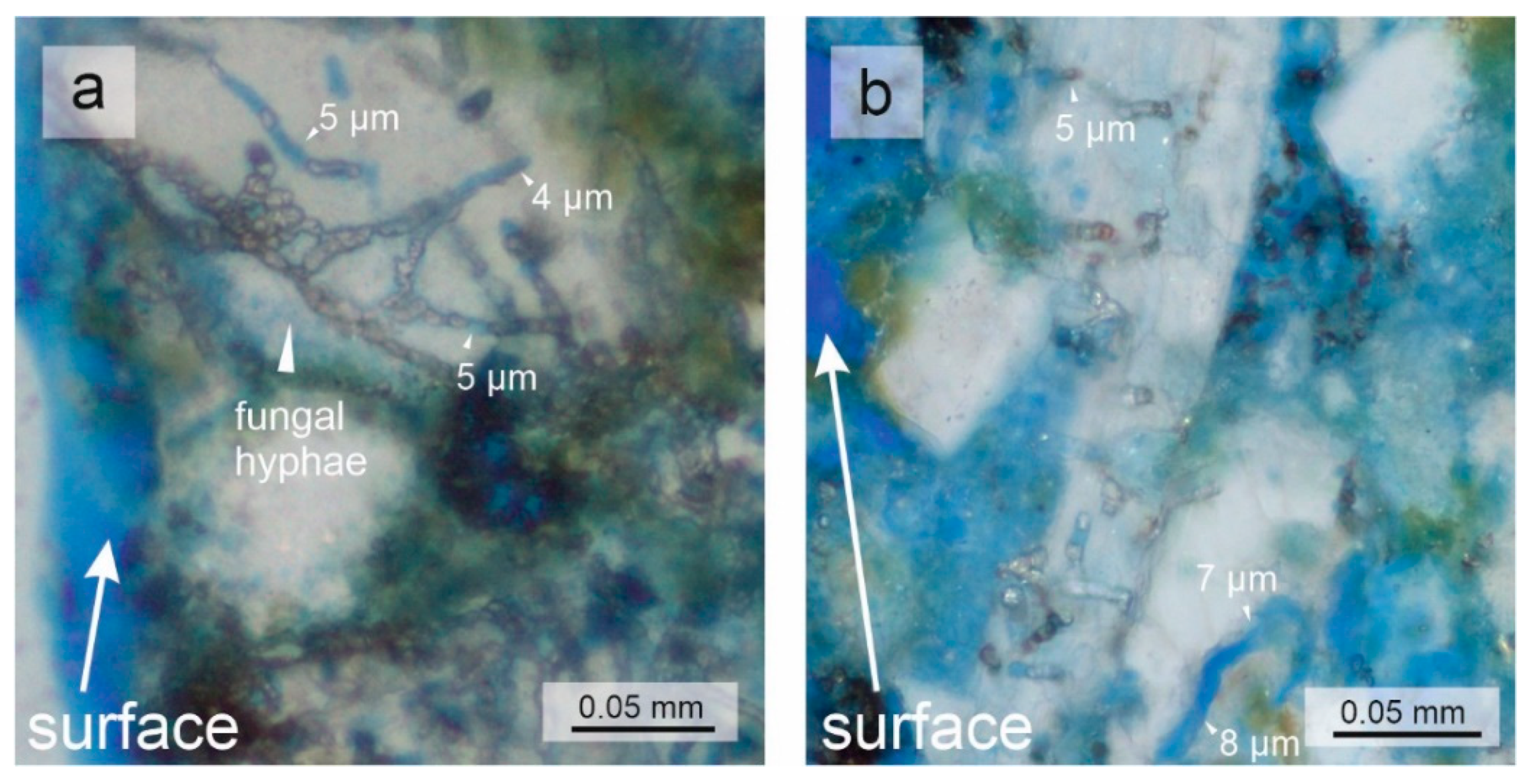 Heritage 03 00027 g006 Heritage 03 00027 g006