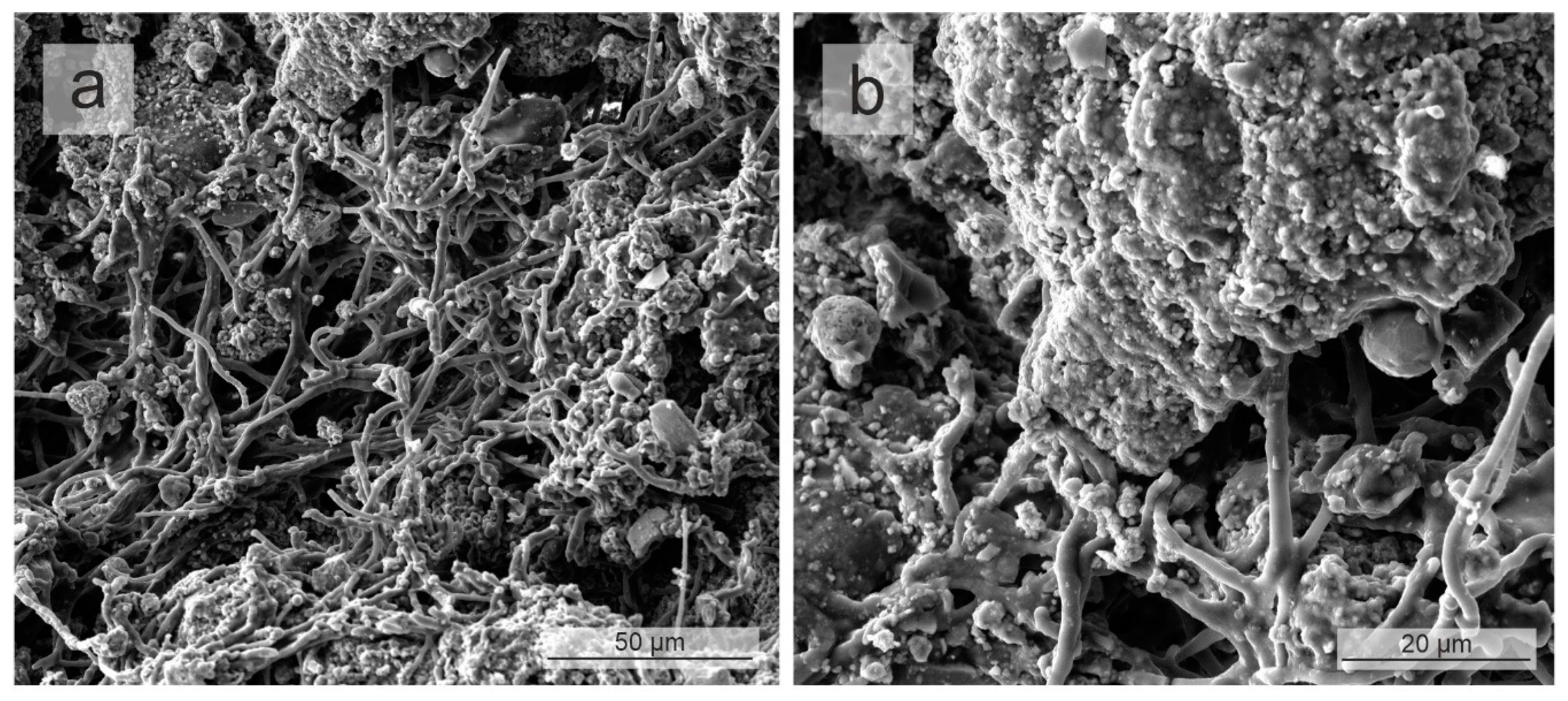 Heritage 03 00027 g014 Heritage 03 00027 g014