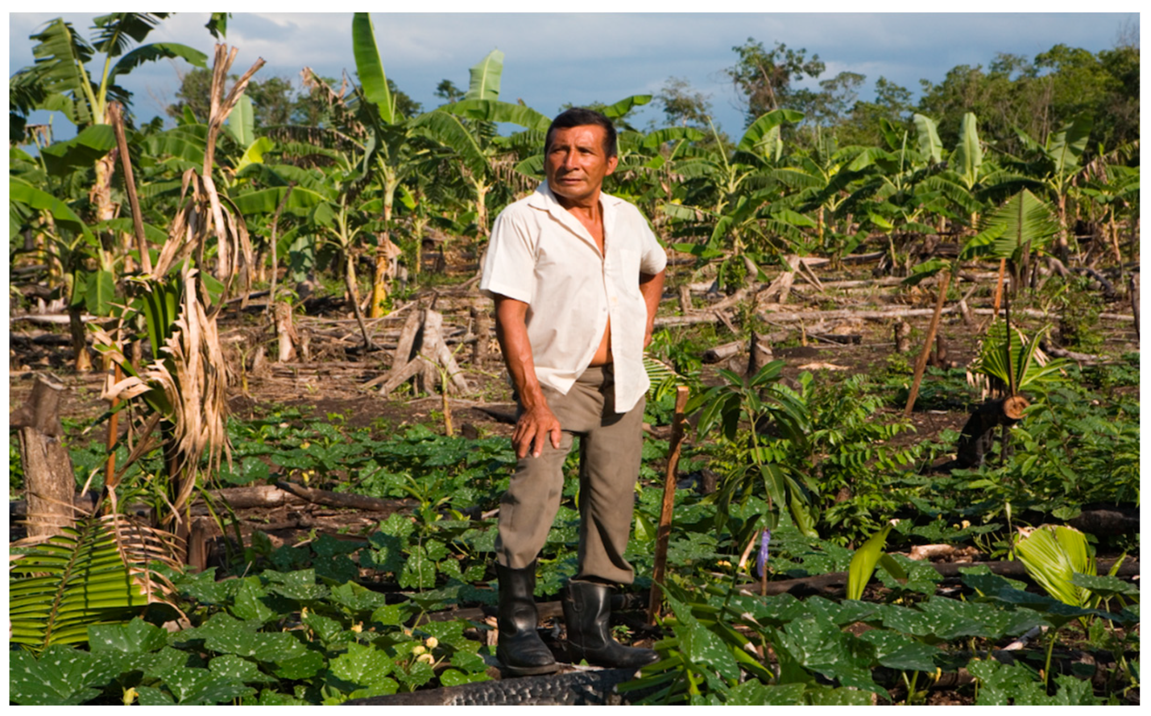 Heritage 03 00029 g004