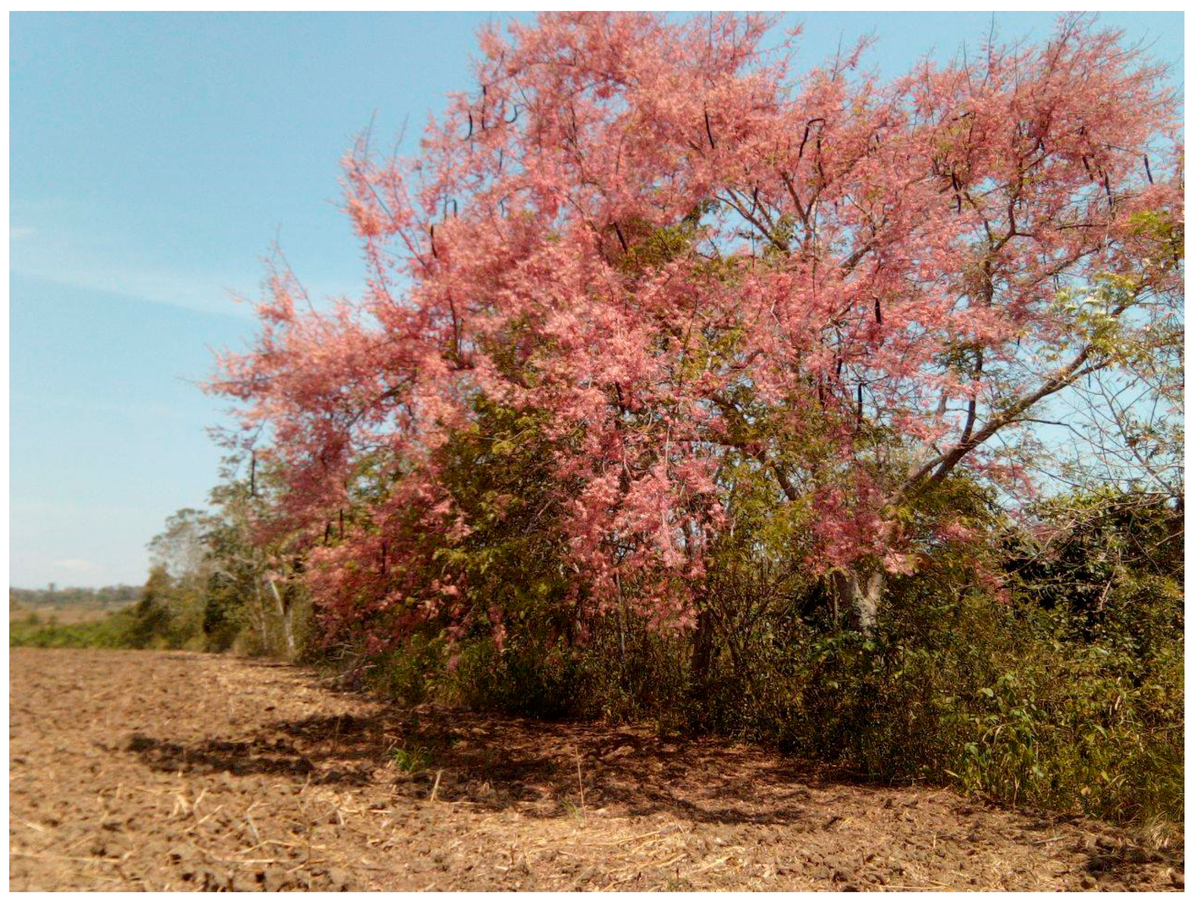 Heritage 03 00029 g005