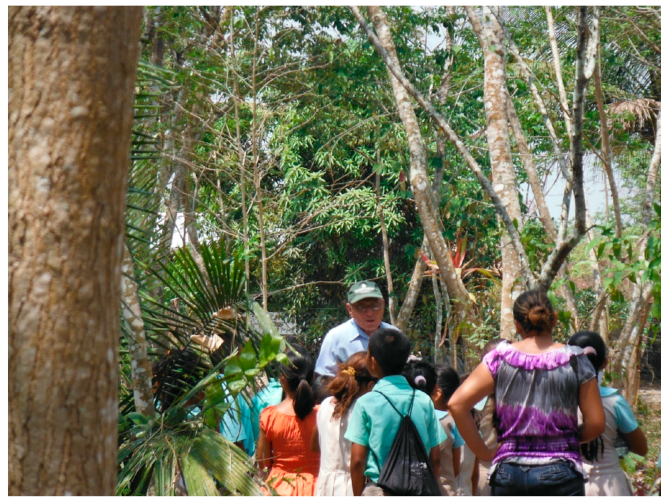 Heritage 03 00029 g006