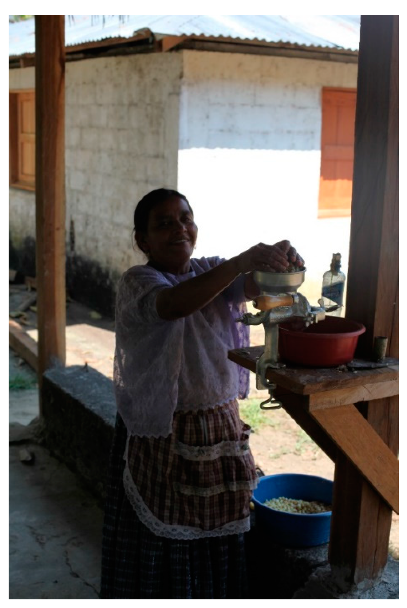 Heritage 03 00033 g006