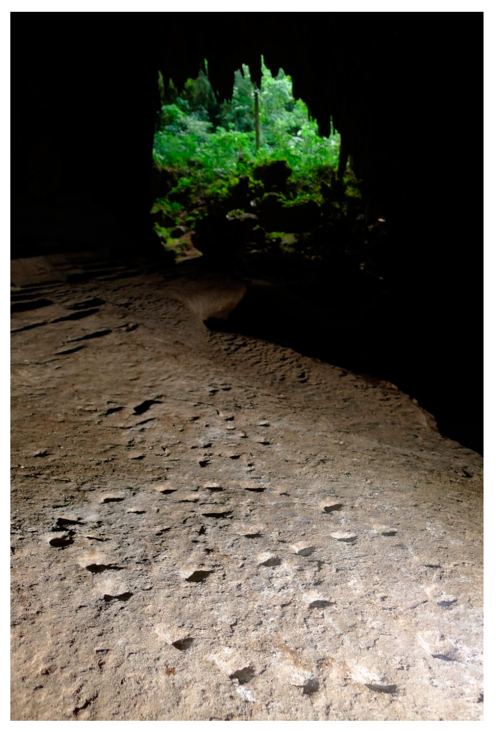 Heritage 03 00033 g010