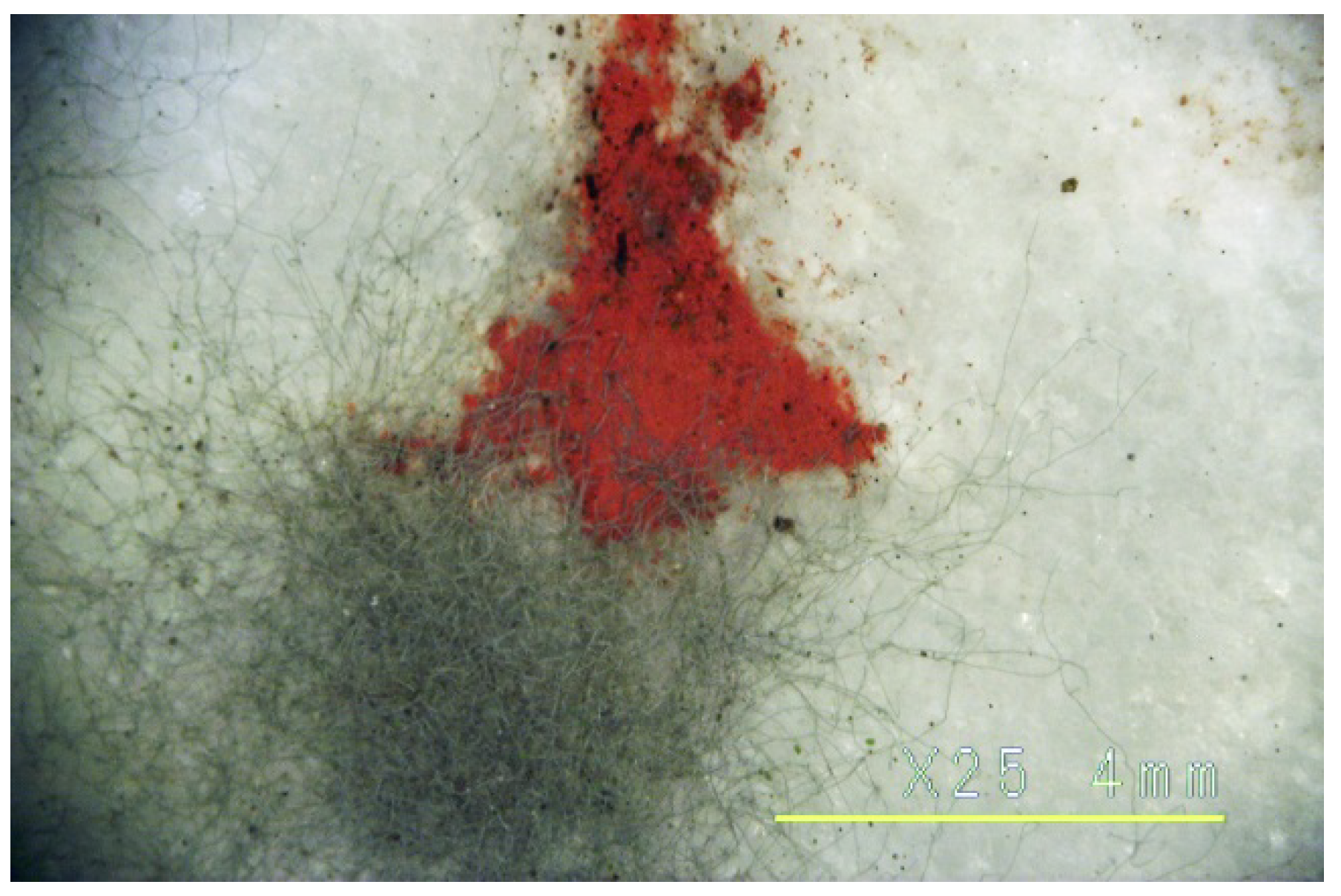 Heritage 03 00047 g003 Heritage 03 00047 g003