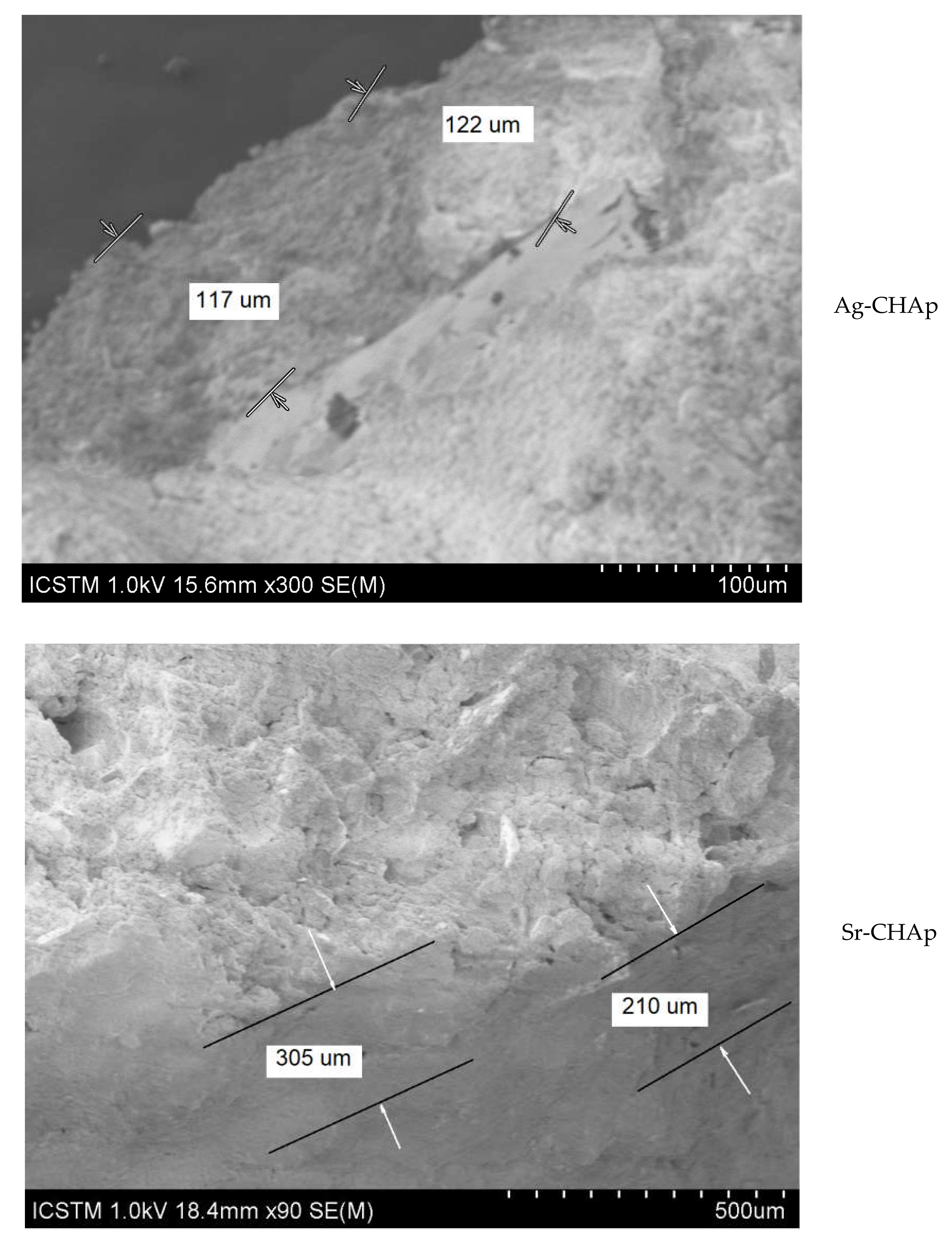 Heritage 03 00051 g007b