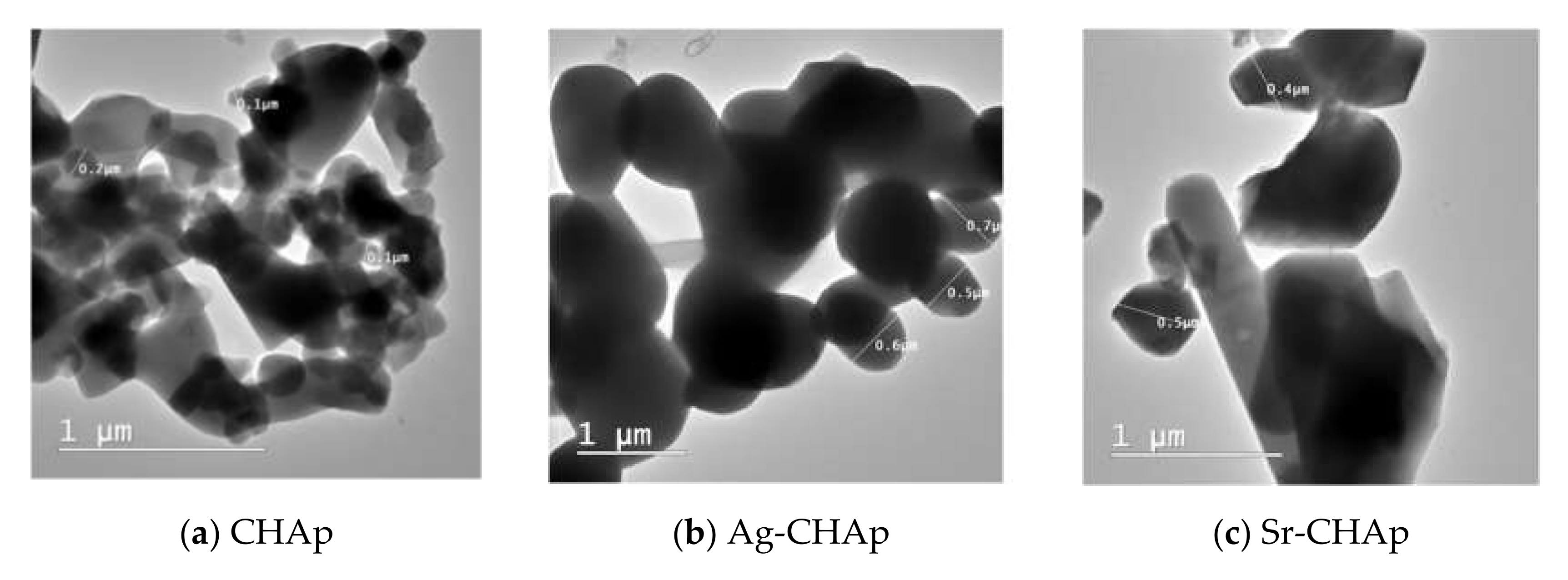 Heritage 03 00051 g008