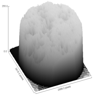 Heritage 03 00051 i003