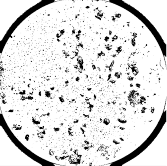 Heritage 03 00051 i005