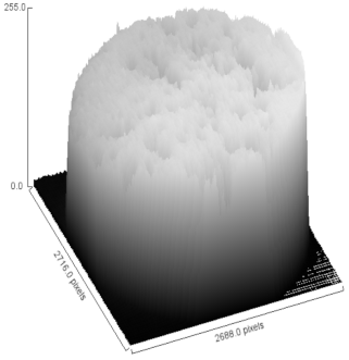 Heritage 03 00051 i006