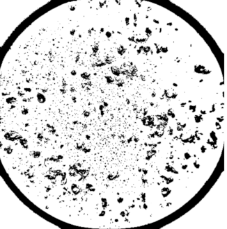 Heritage 03 00051 i008