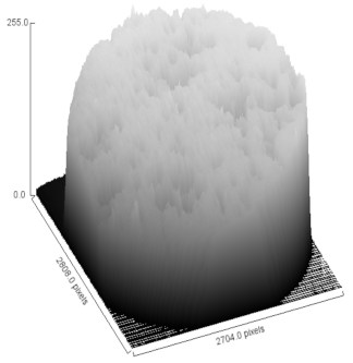 Heritage 03 00051 i009