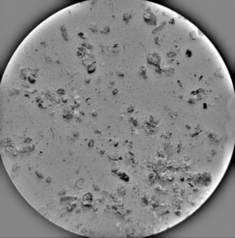 Heritage 03 00051 i010