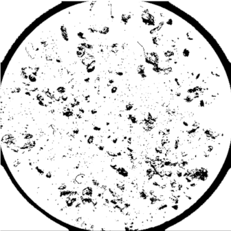 Heritage 03 00051 i011