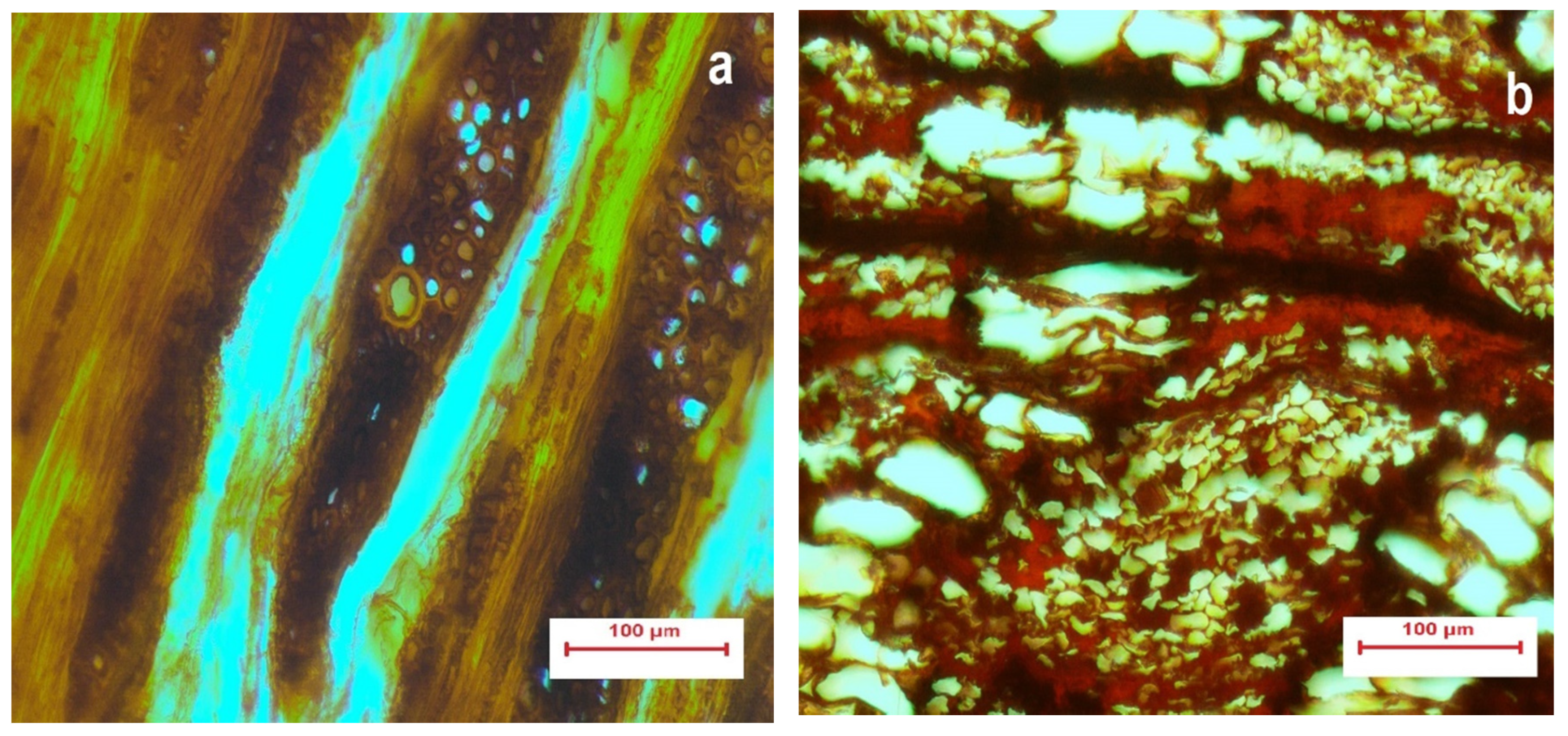 Heritage 03 00060 g002 Heritage 03 00060 g002