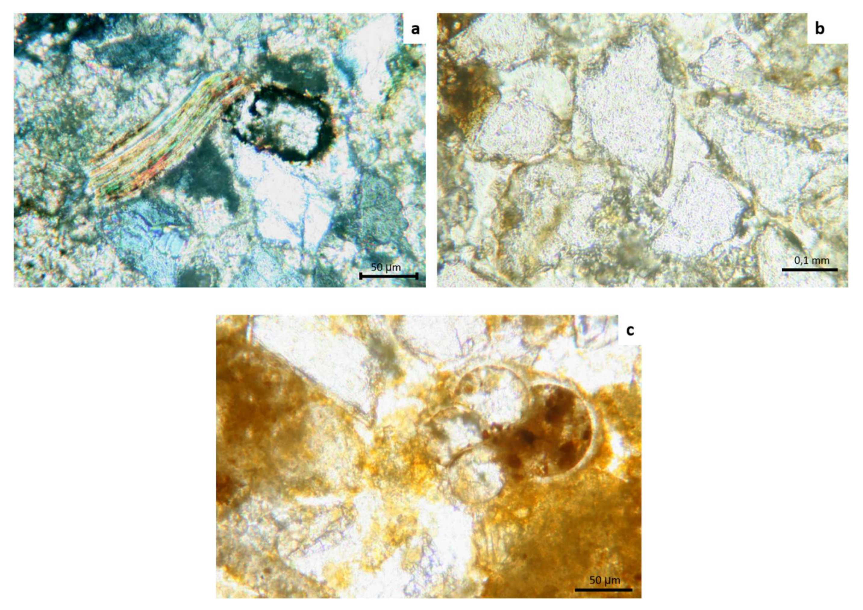 Heritage 03 00062 g007 Heritage 03 00062 g007