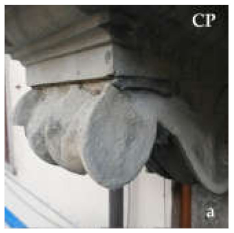 Heritage 03 00071 i001