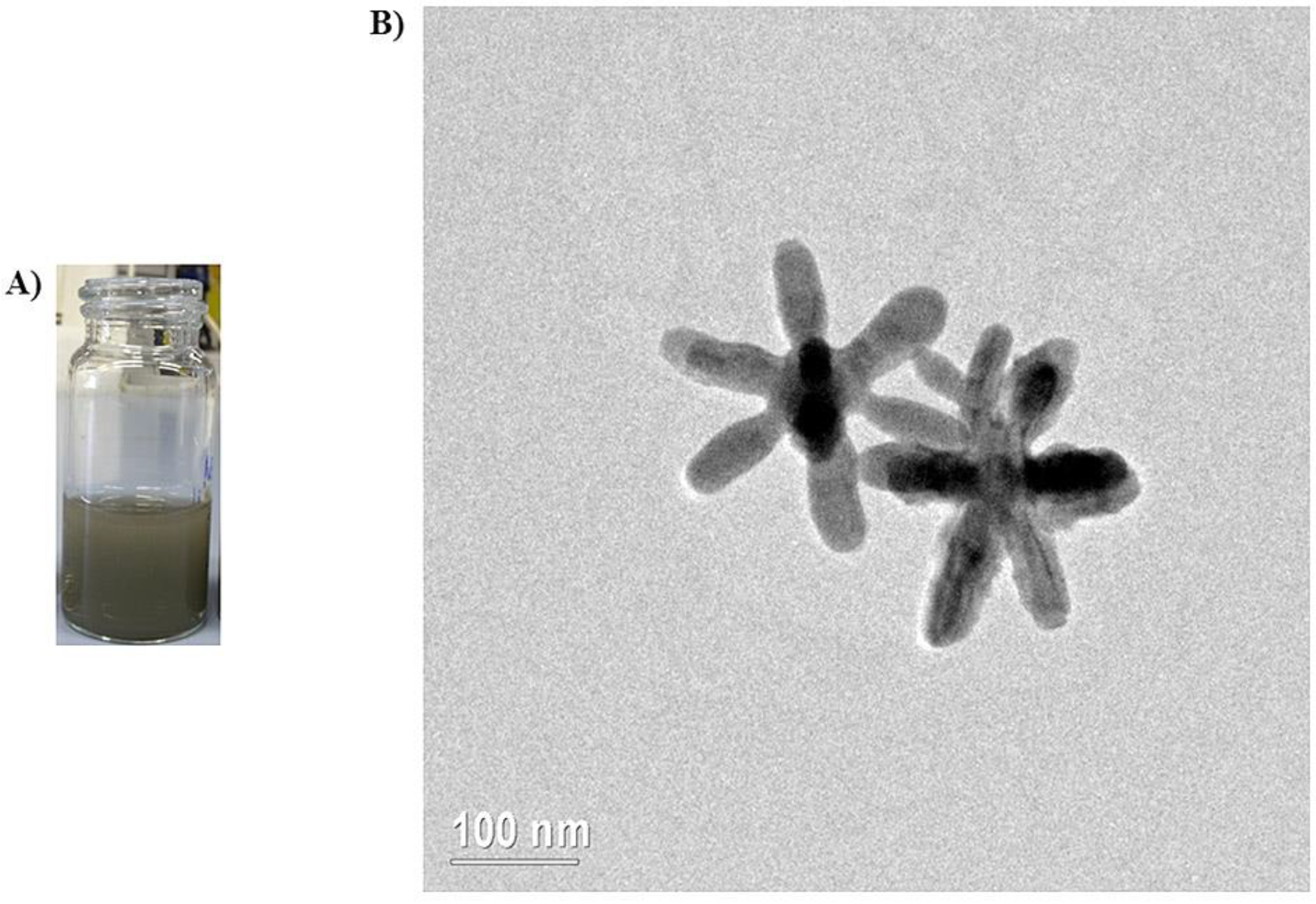 Heritage 03 00074 g002 Heritage 03 00074 g002