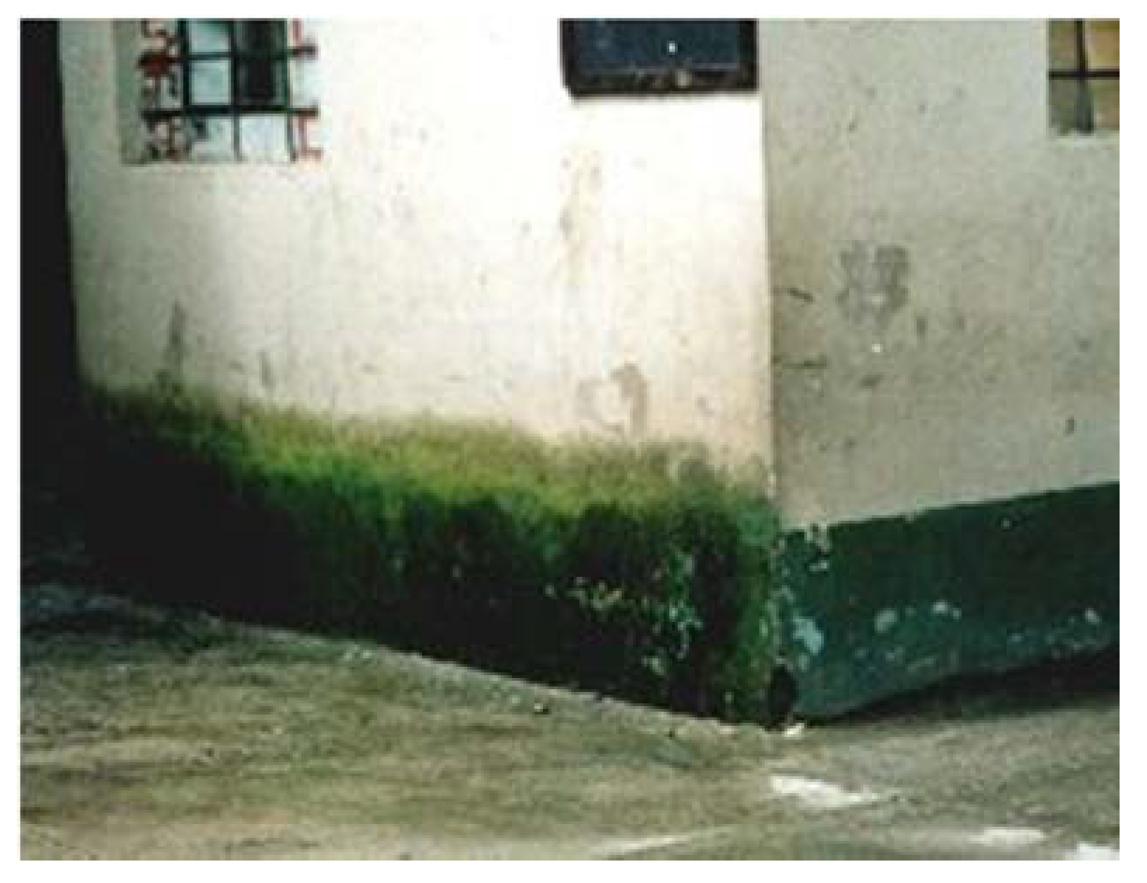 Heritage 03 00081 g001 Heritage 03 00081 g001