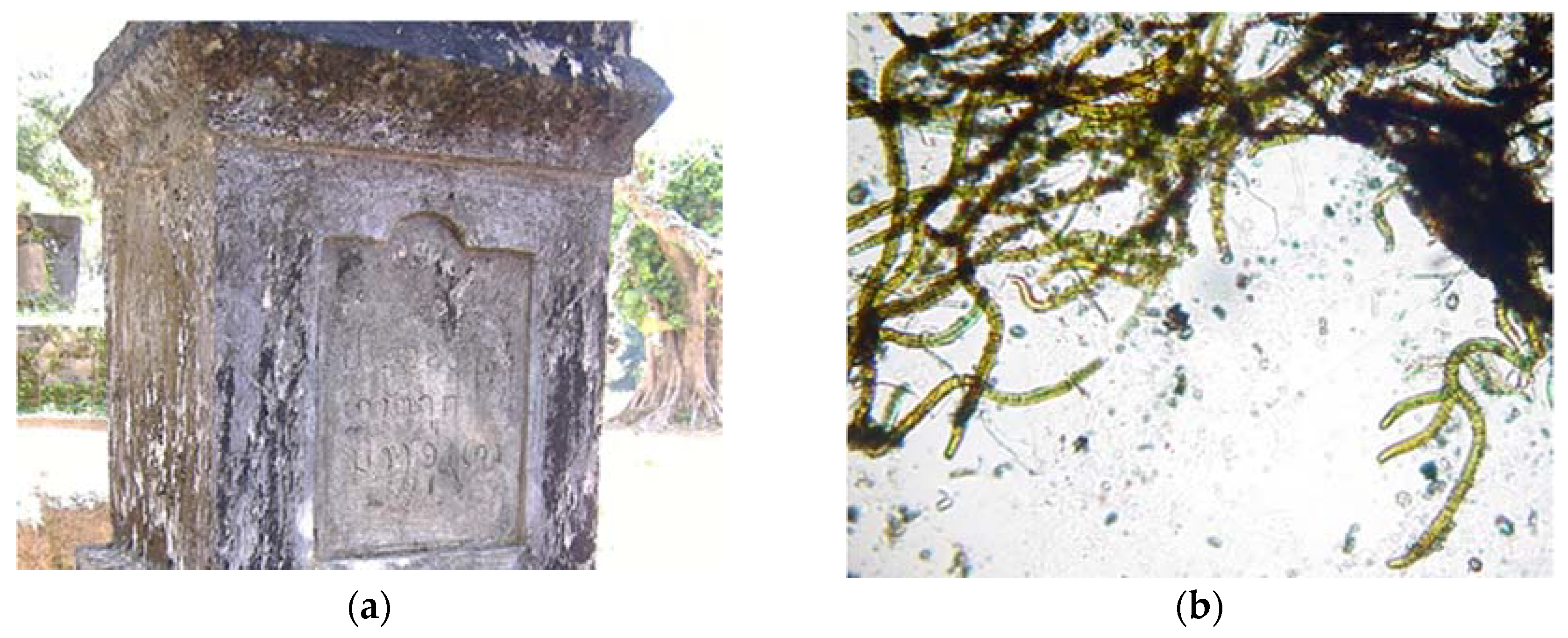 Heritage 03 00081 g002 Heritage 03 00081 g002