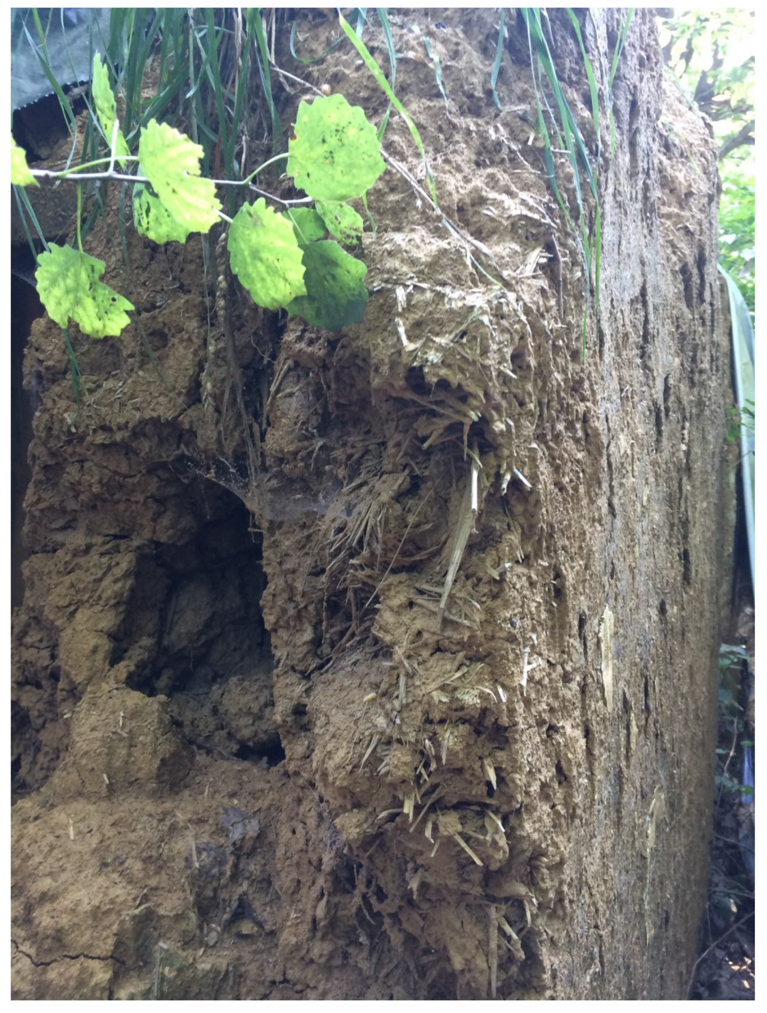 Heritage 04 00007 g010 Heritage 04 00007 g010