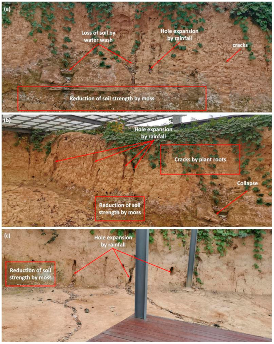 Heritage 04 00024 g003