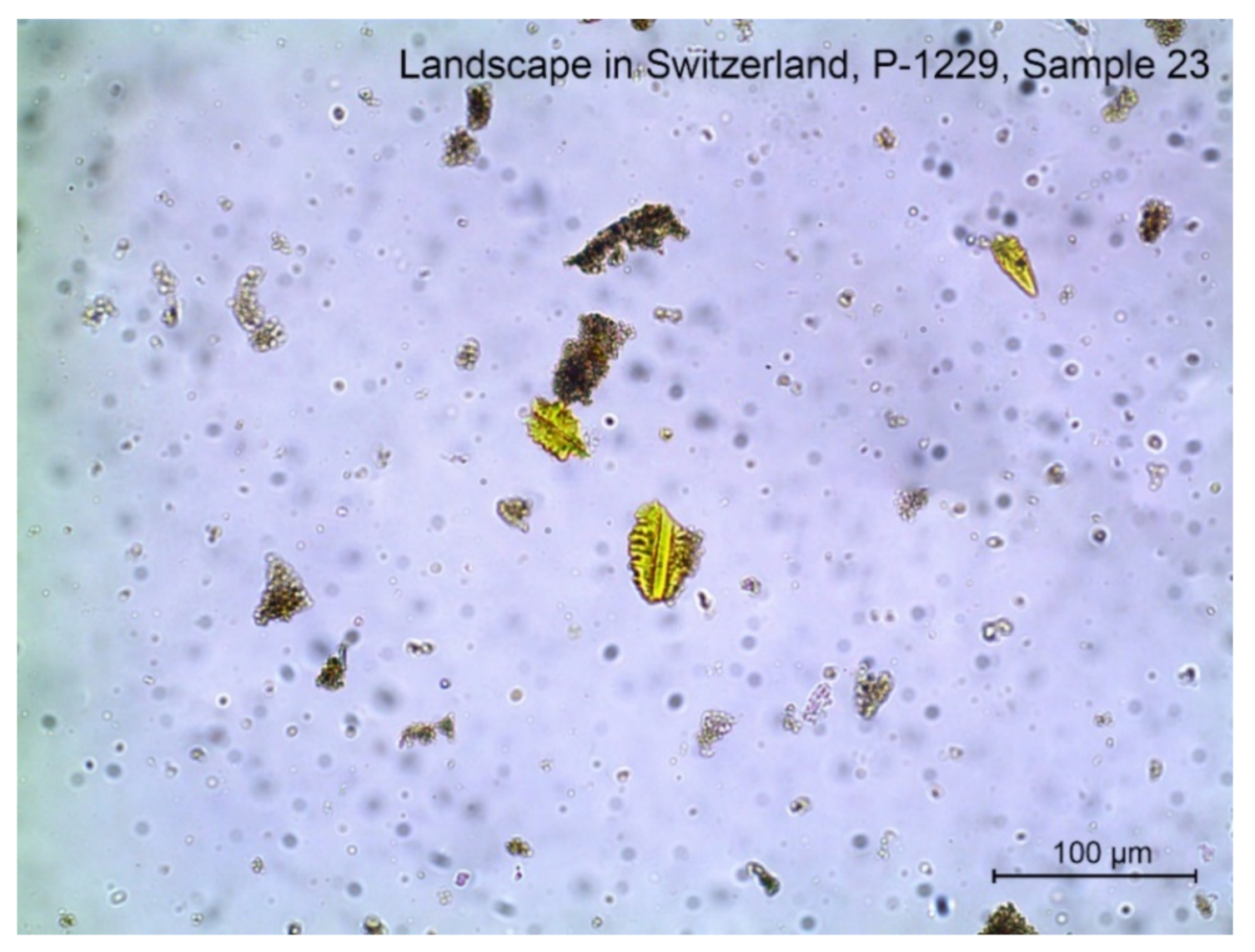 Heritage 04 00046 g007