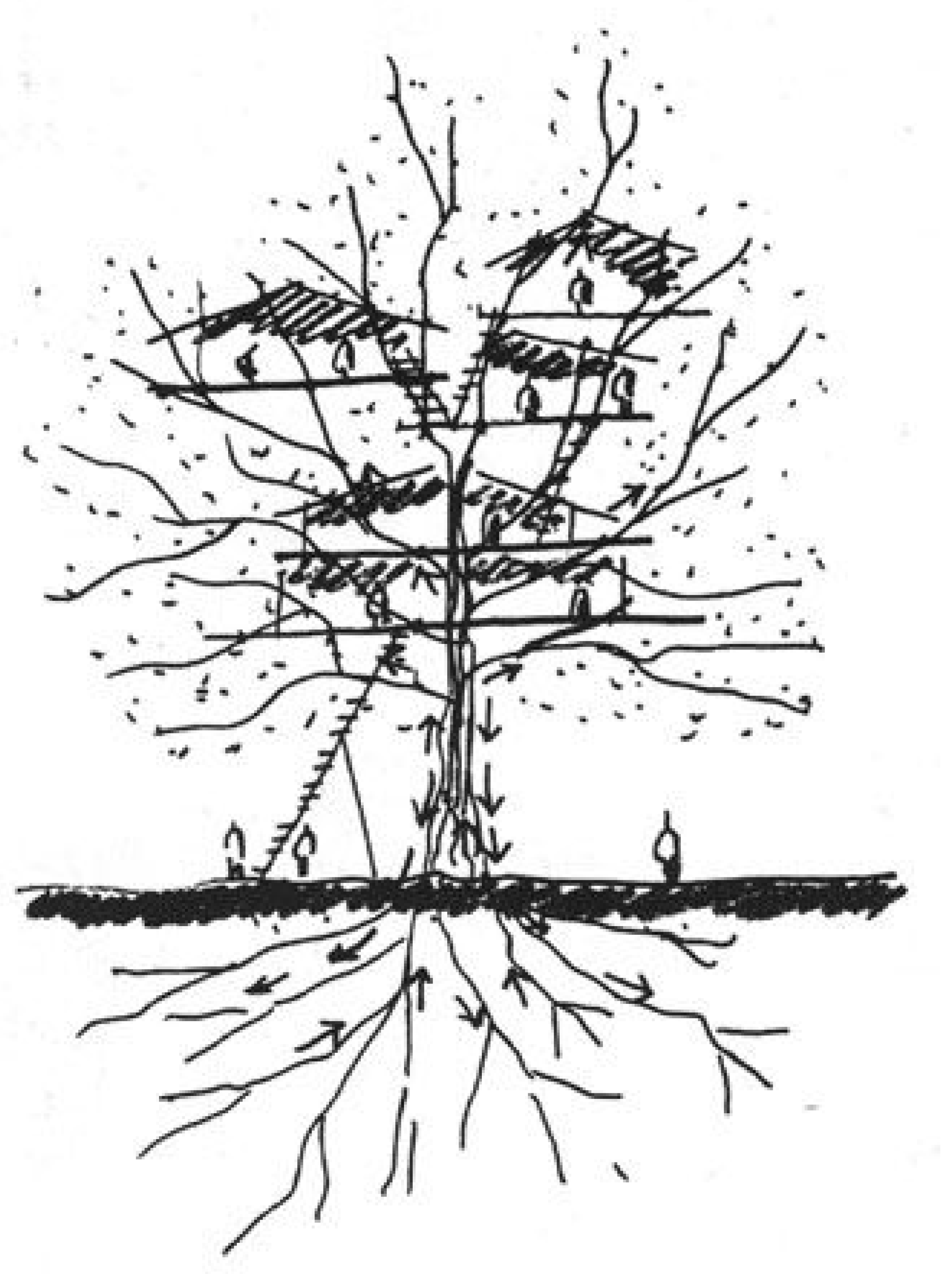 Heritage 04 00054 g013