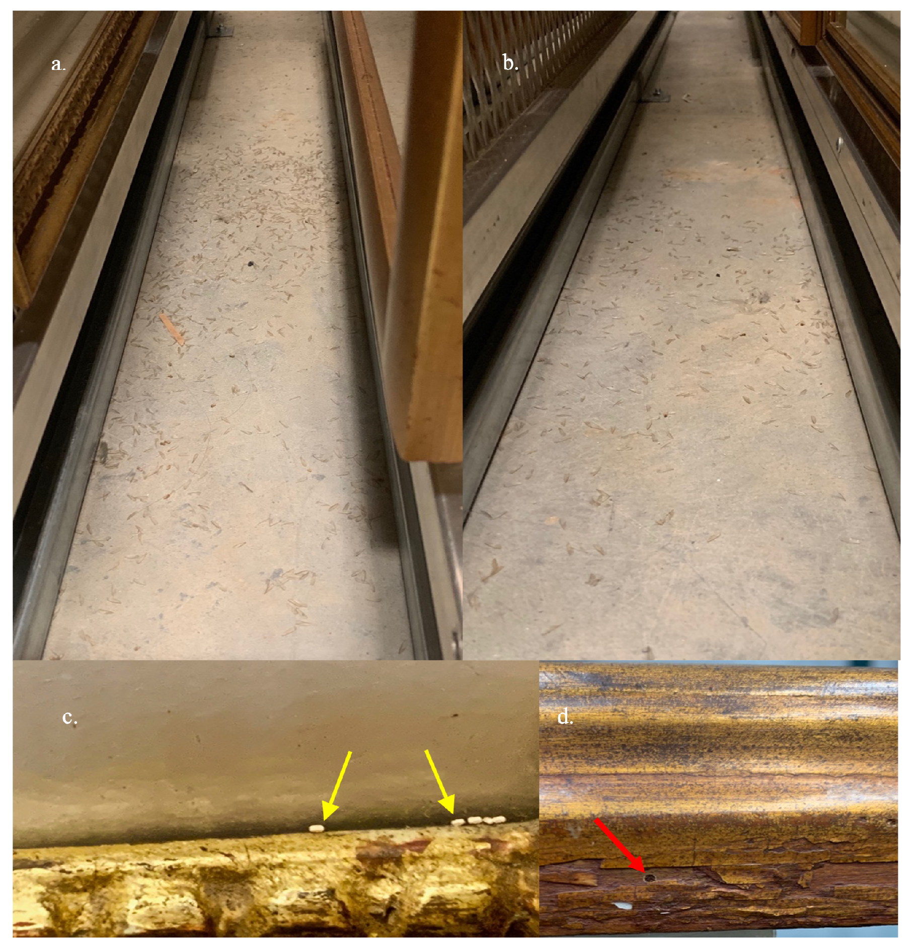 Heritage 04 00056 g001