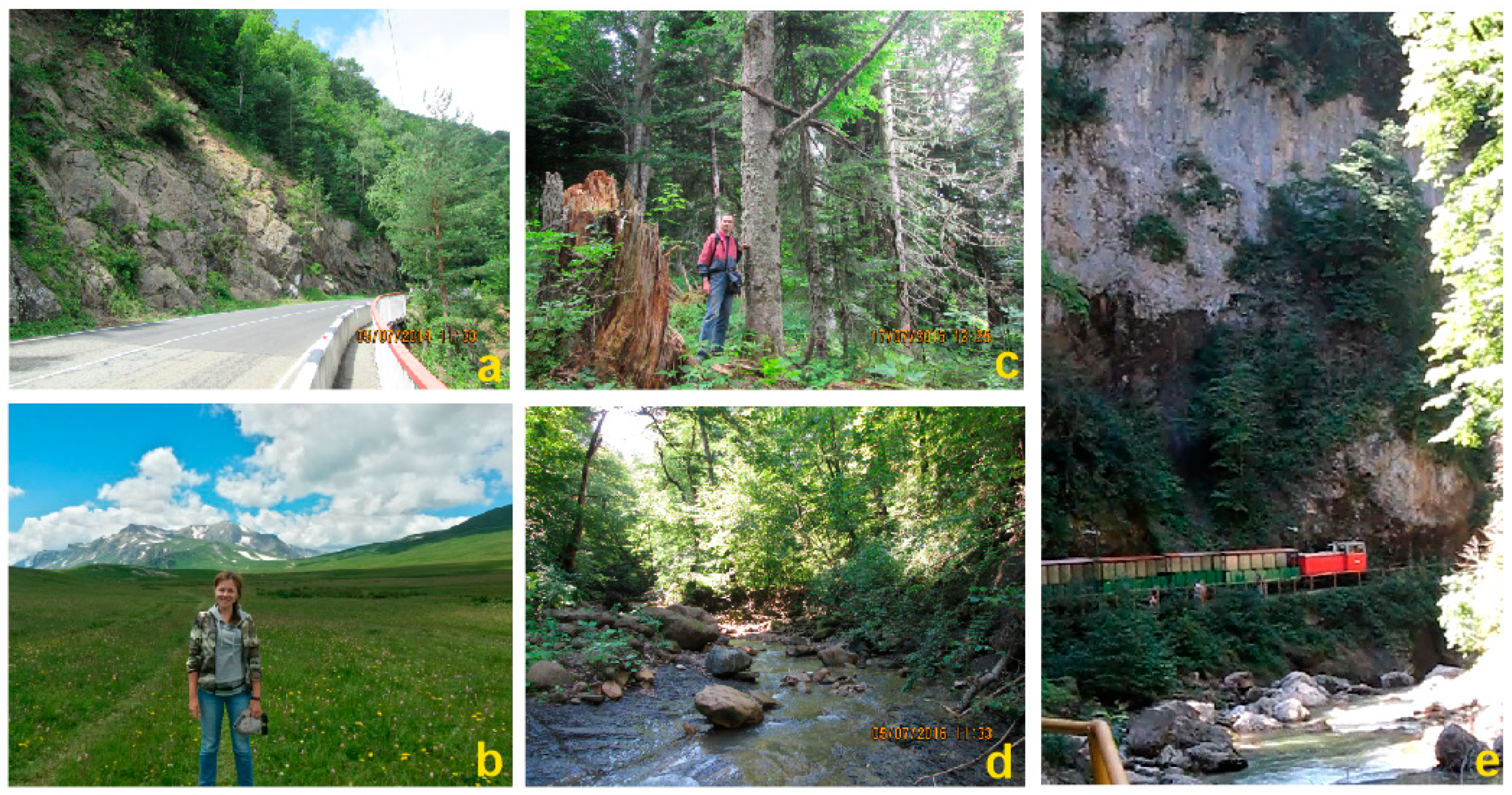 Heritage 04 00060 g004