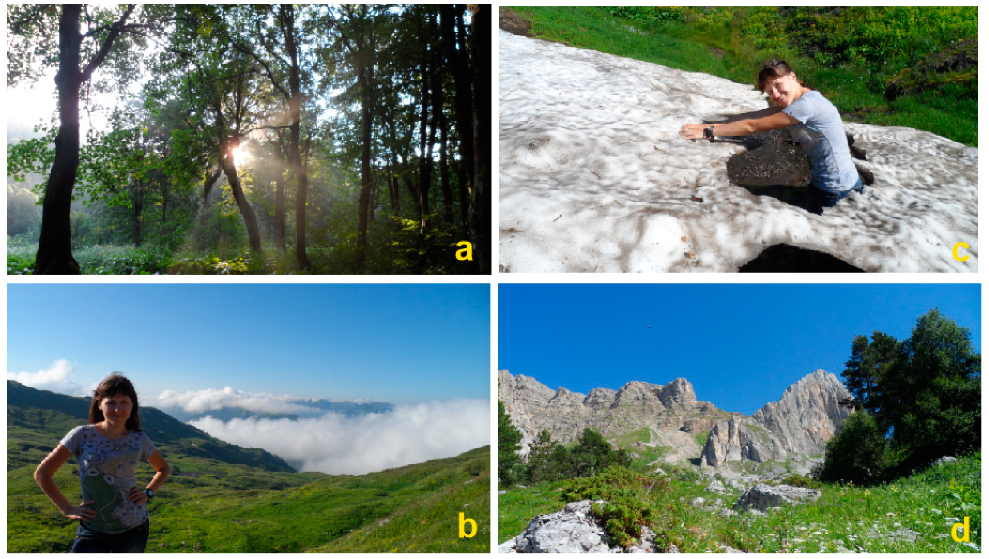 Heritage 04 00060 g005