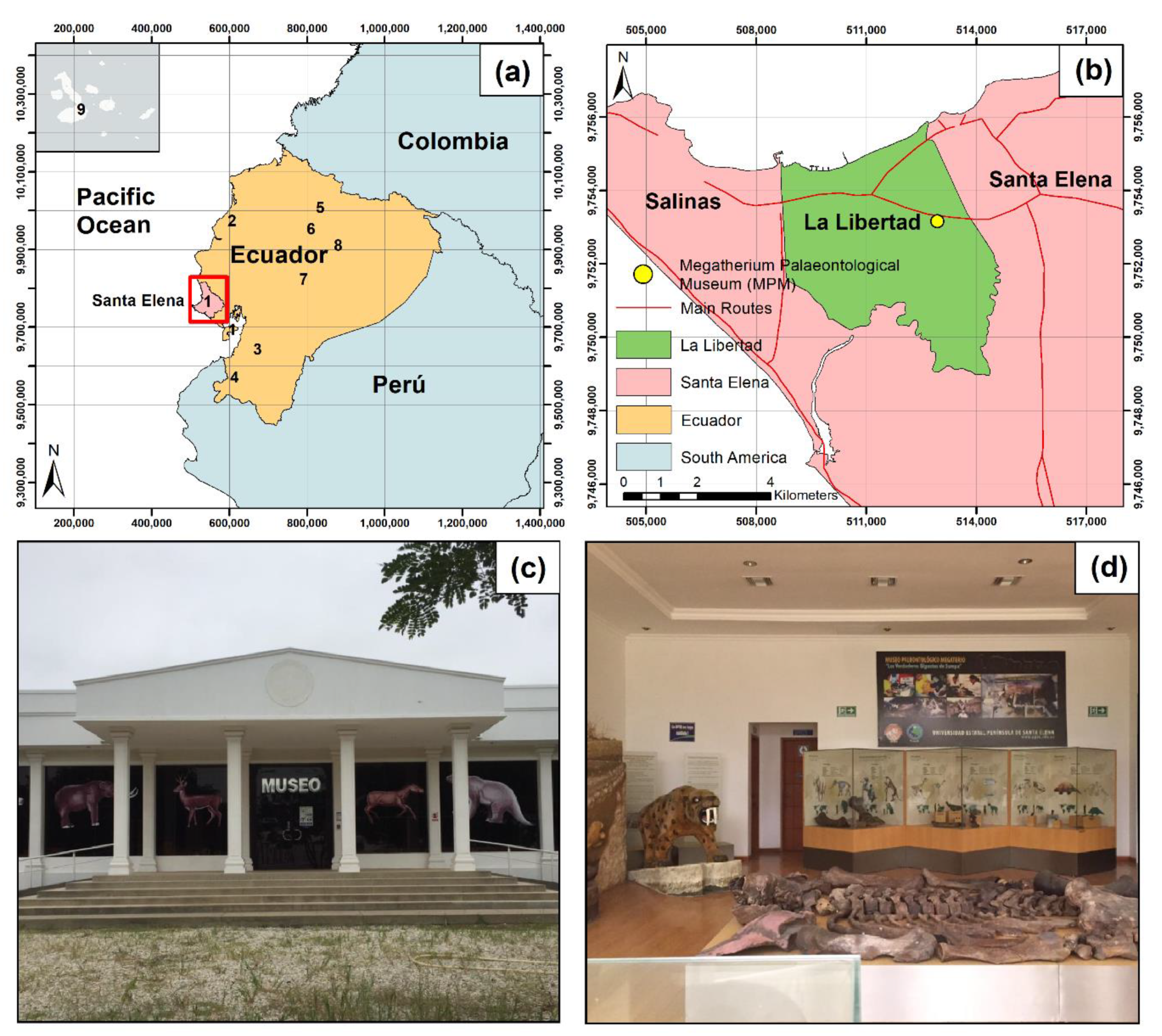 História do Instituto Geológico 