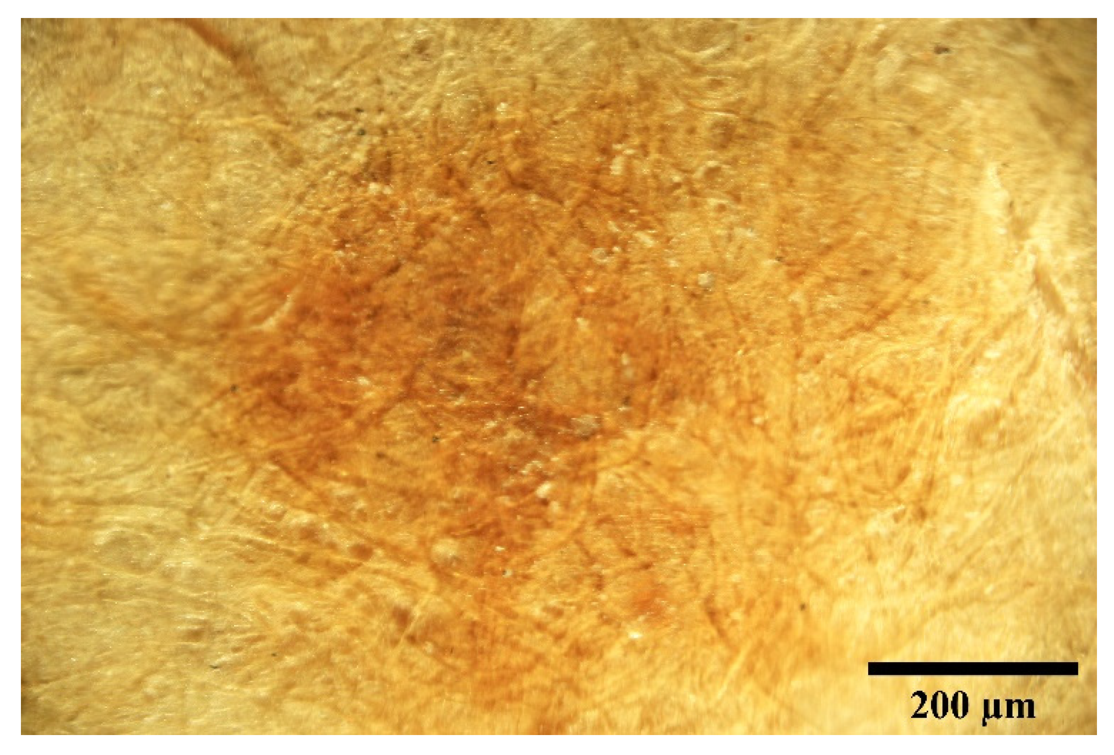 Heritage 04 00074 g007 550