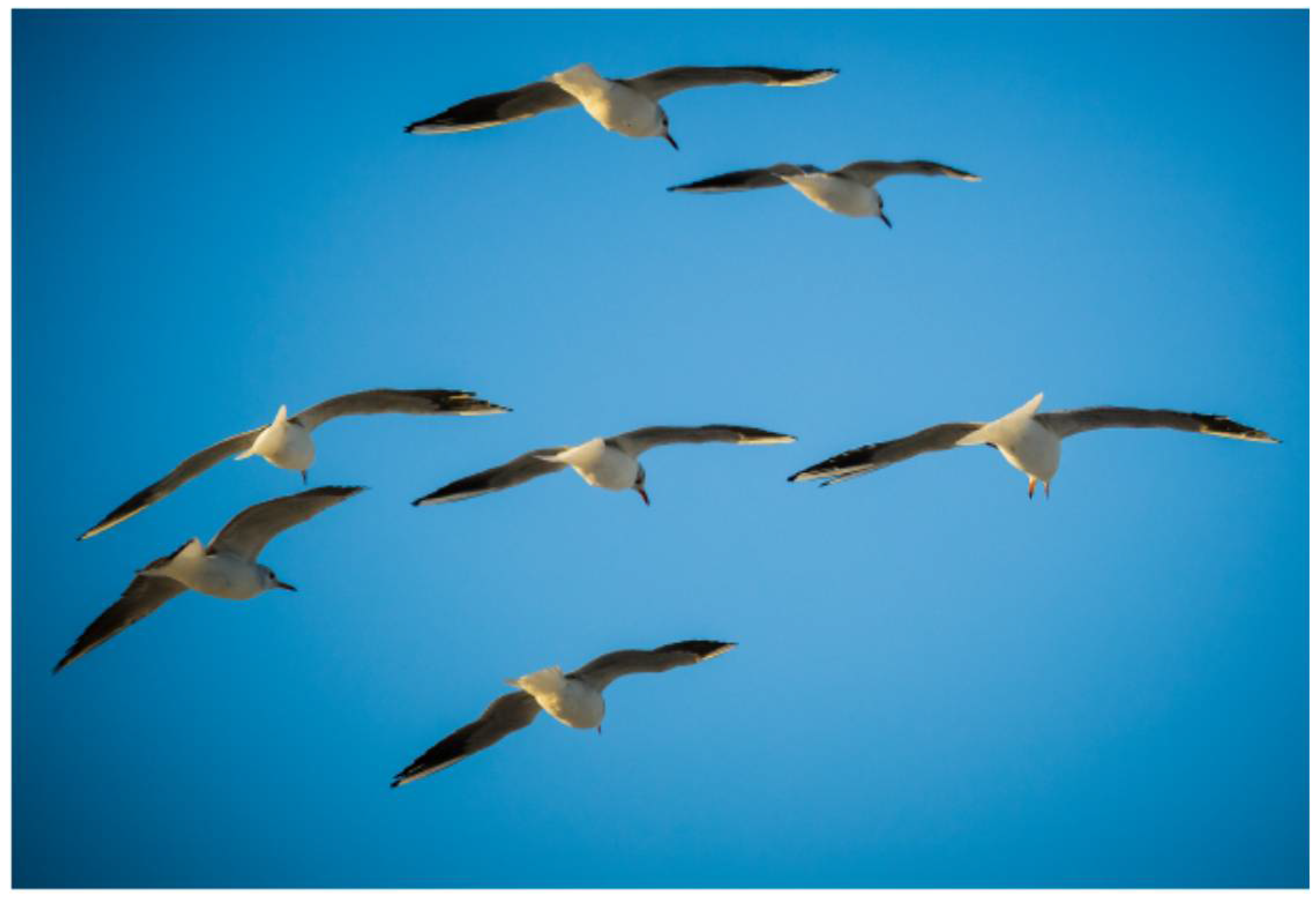 Heritage 04 00087 g007 550